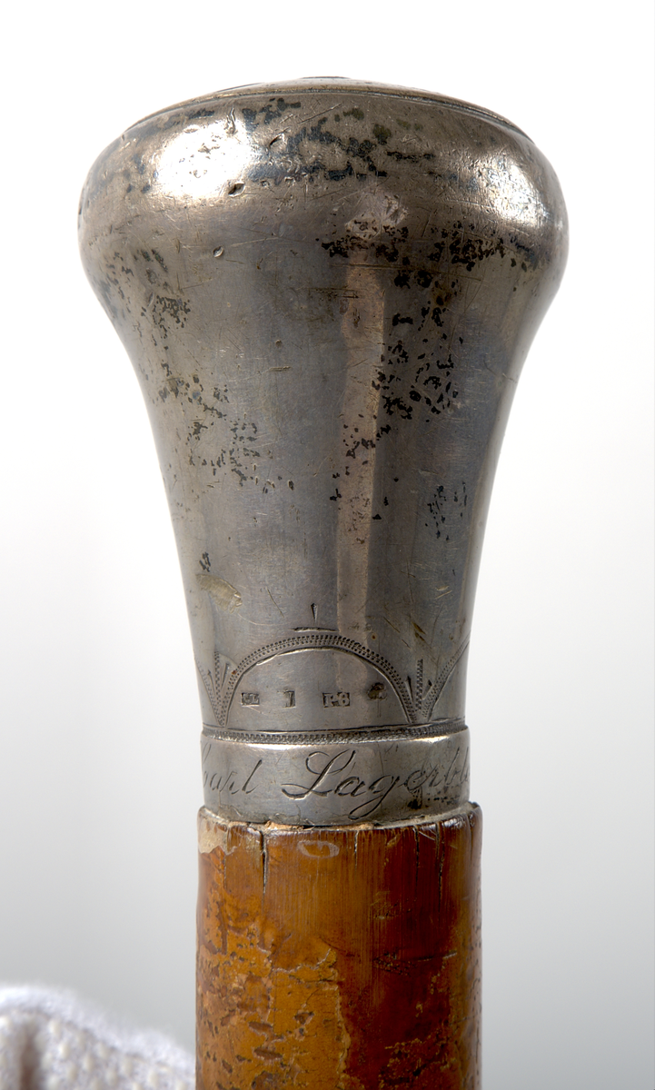 Käpp av lackerad rotting med en knopp av silver. Knoppen är försedd med gravyr: upptill "Carl XV Sveriges Norr. Goth. och Vend. konung", samt ett porträtt i profil föreställande Carl XV. Längst ned, närmast skaftet, återfinns följande gravyr: "Carl Lagerblad", samt en bård med halvcirkelformade mönster som löper längs knoppens diameter. I anslutning till mönstren finns fyra silverstämplar.

Doppsko av stål, försedd med en bred plåt av gulmetall.