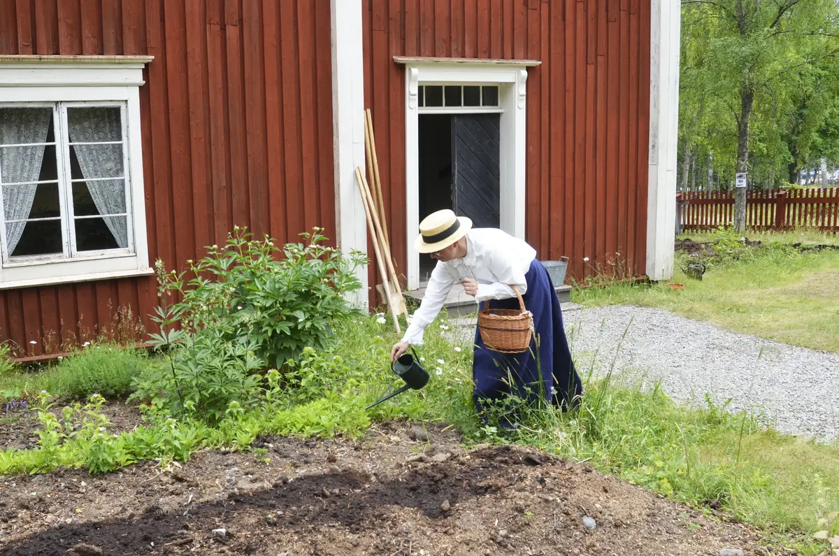 Lärarinna i vit blus och blå kjol vattnar odlingarna i trädgården framför den röda skolbyggnaden med vita knutar.