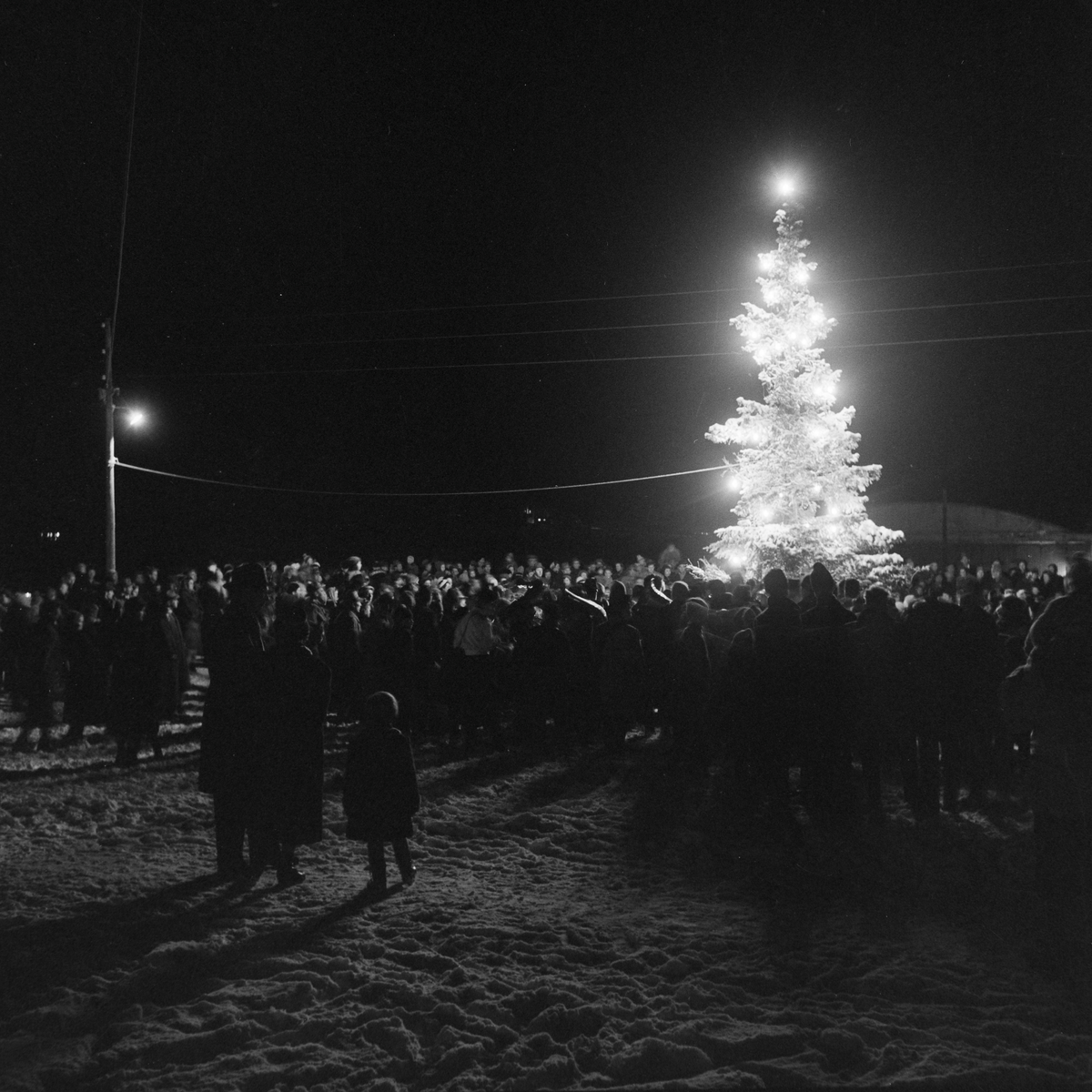 Juletretenning på Munkvoll
