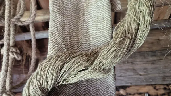 Lin av olika slag med husinnervägg i bakgrunden.