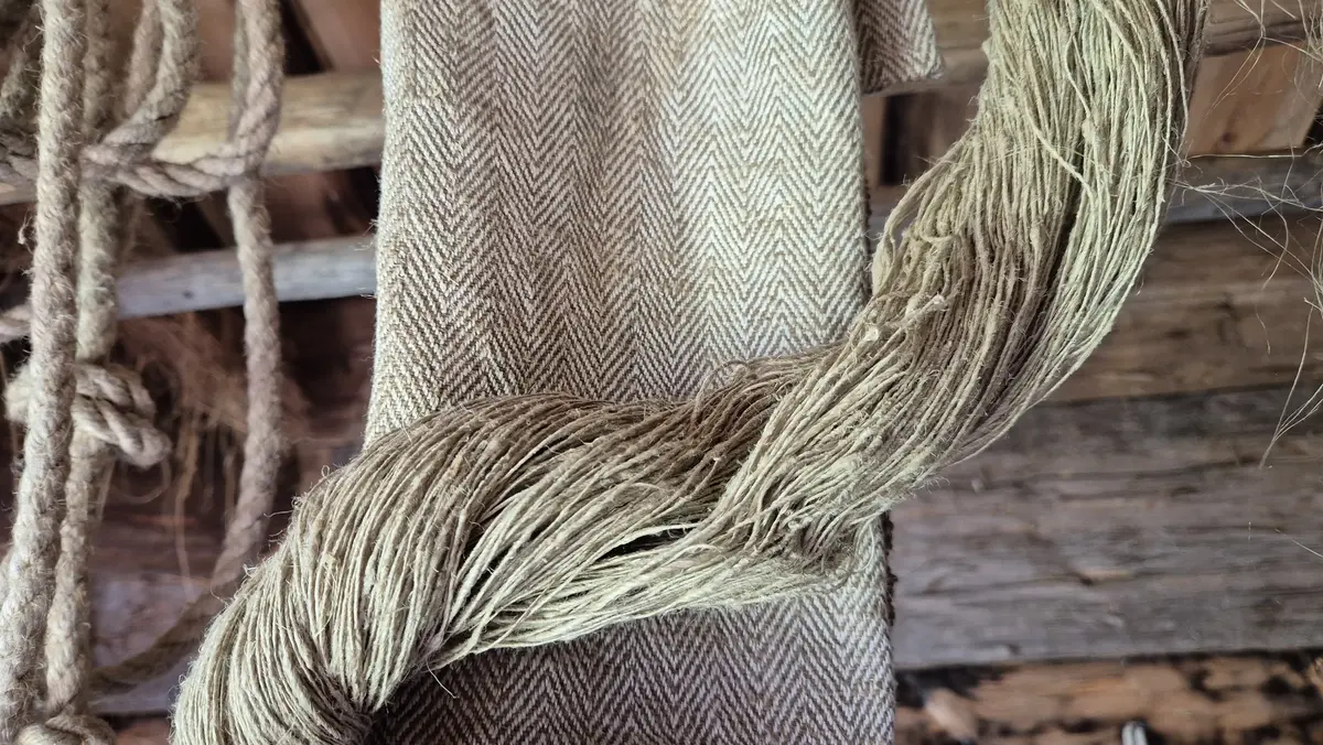 Lin av olika slag med husinnervägg i bakgrunden.