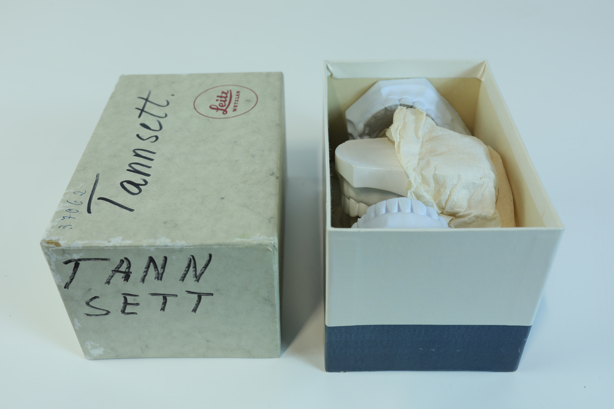 Liten pappeske med to tannsett i gips.