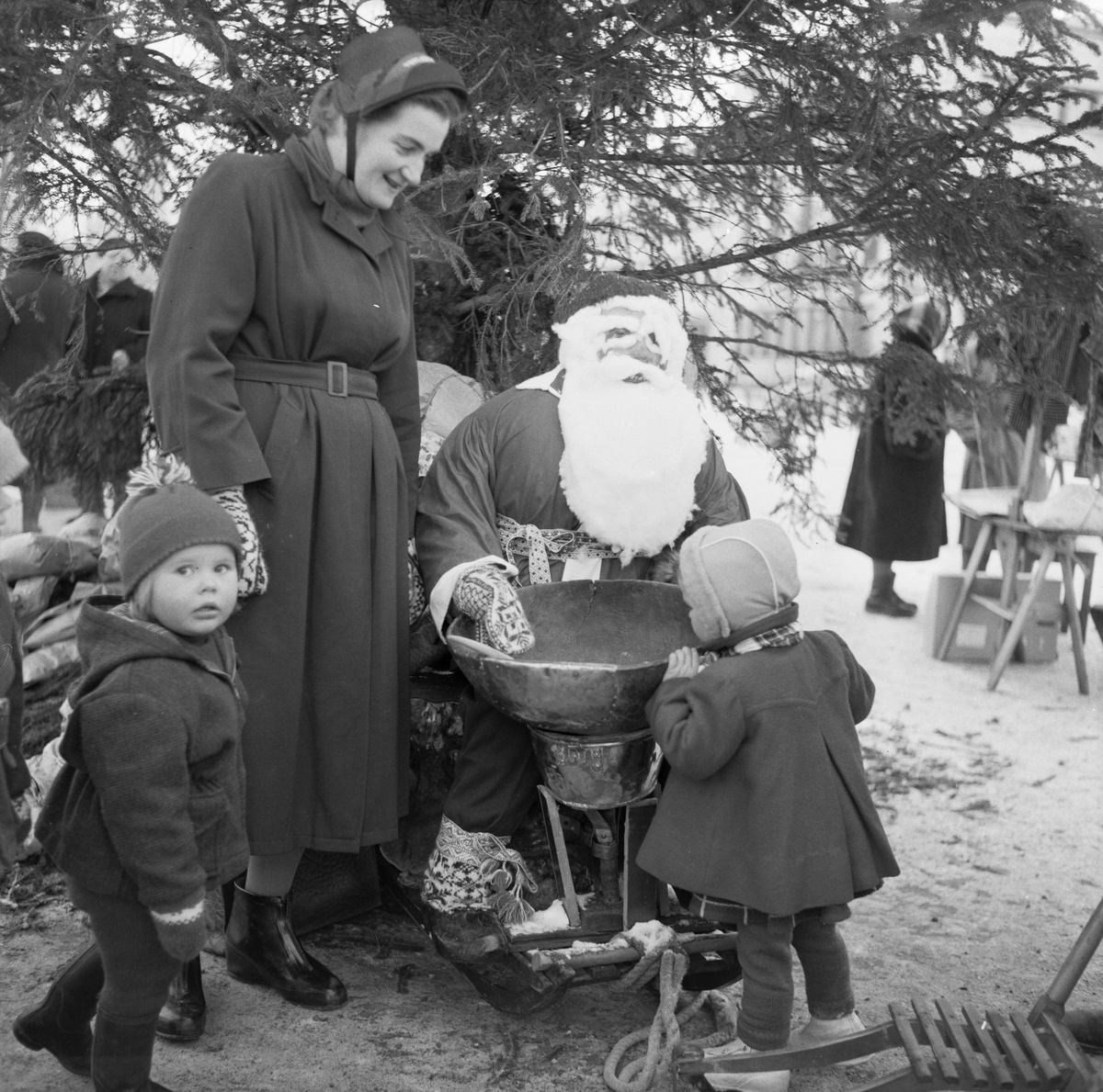 Juletresalg på Torget