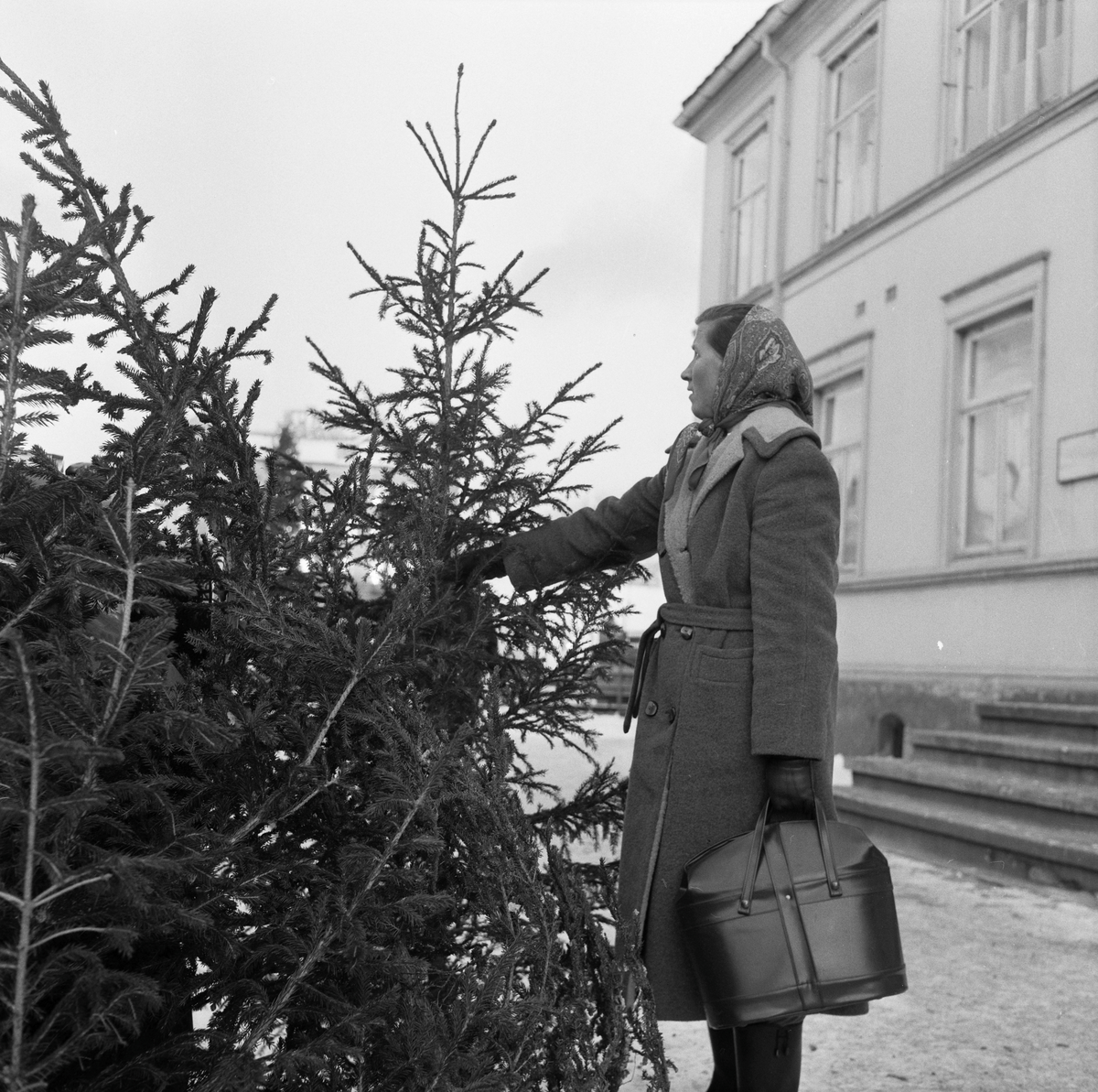 Juletresalg på Torget