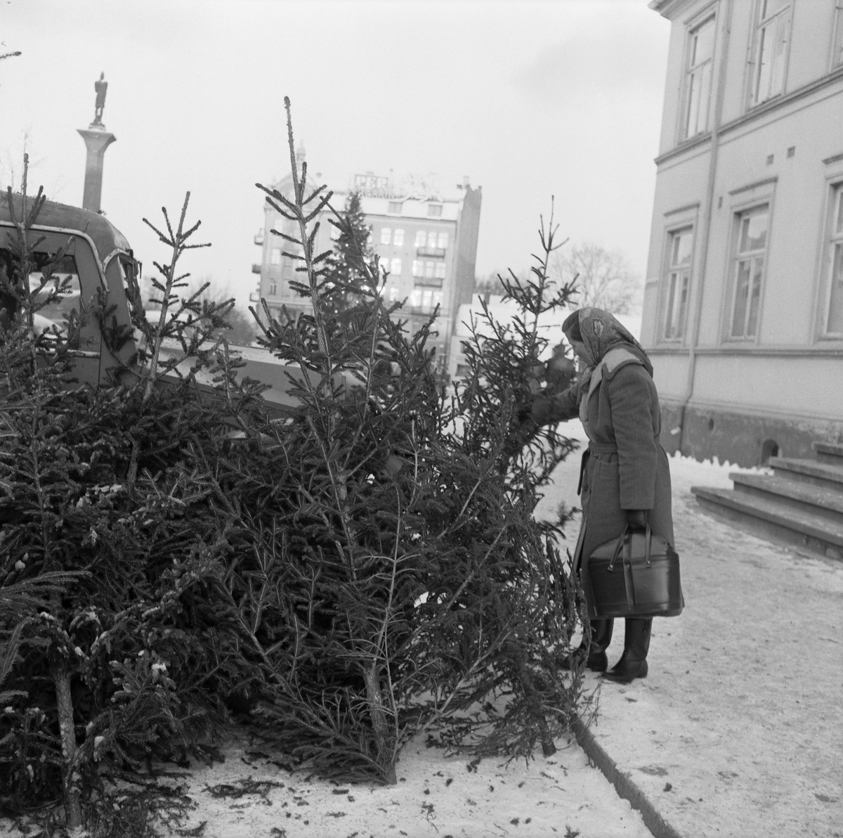Juletresalg på Torget