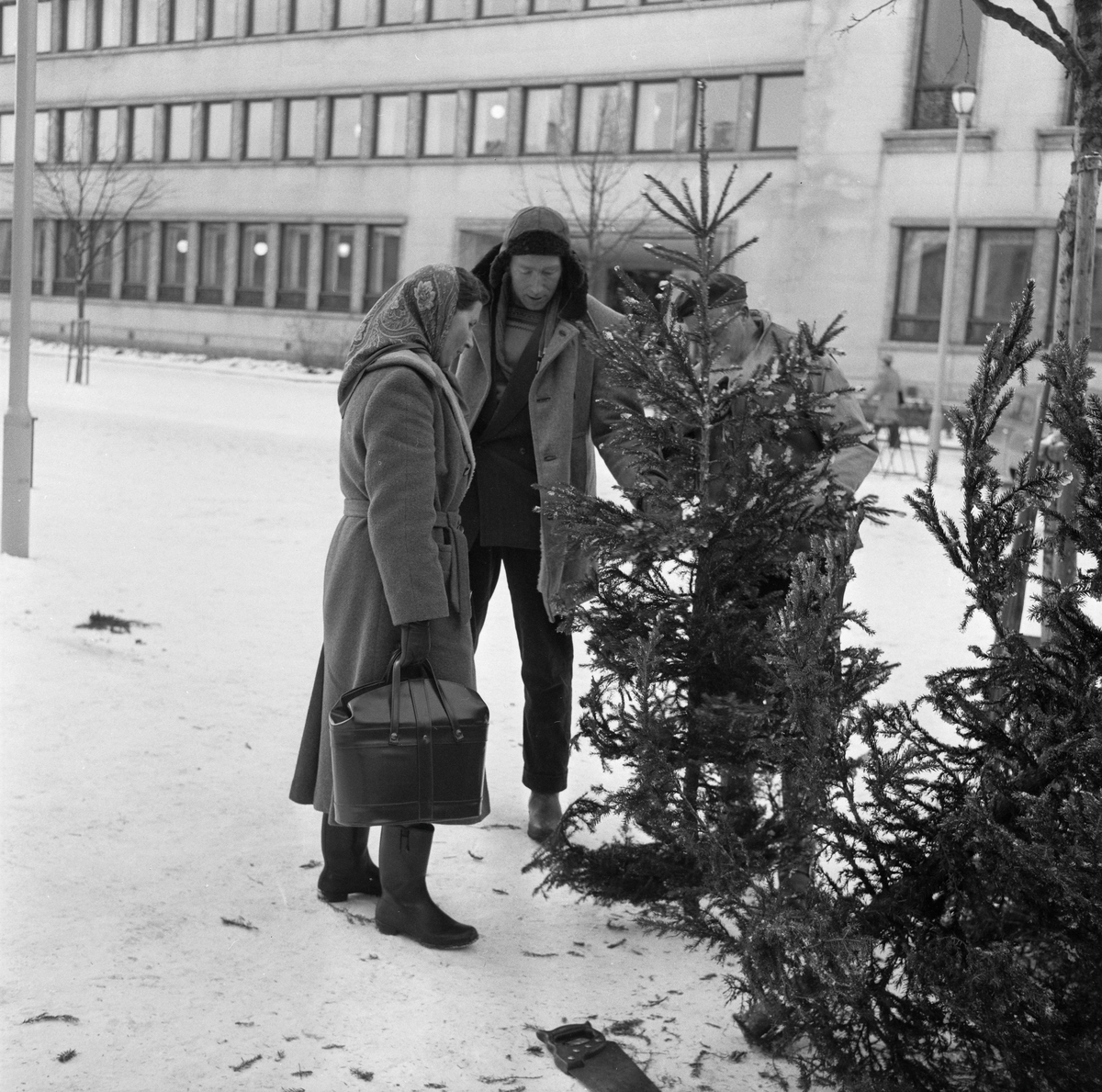 Juletresalg på Torget