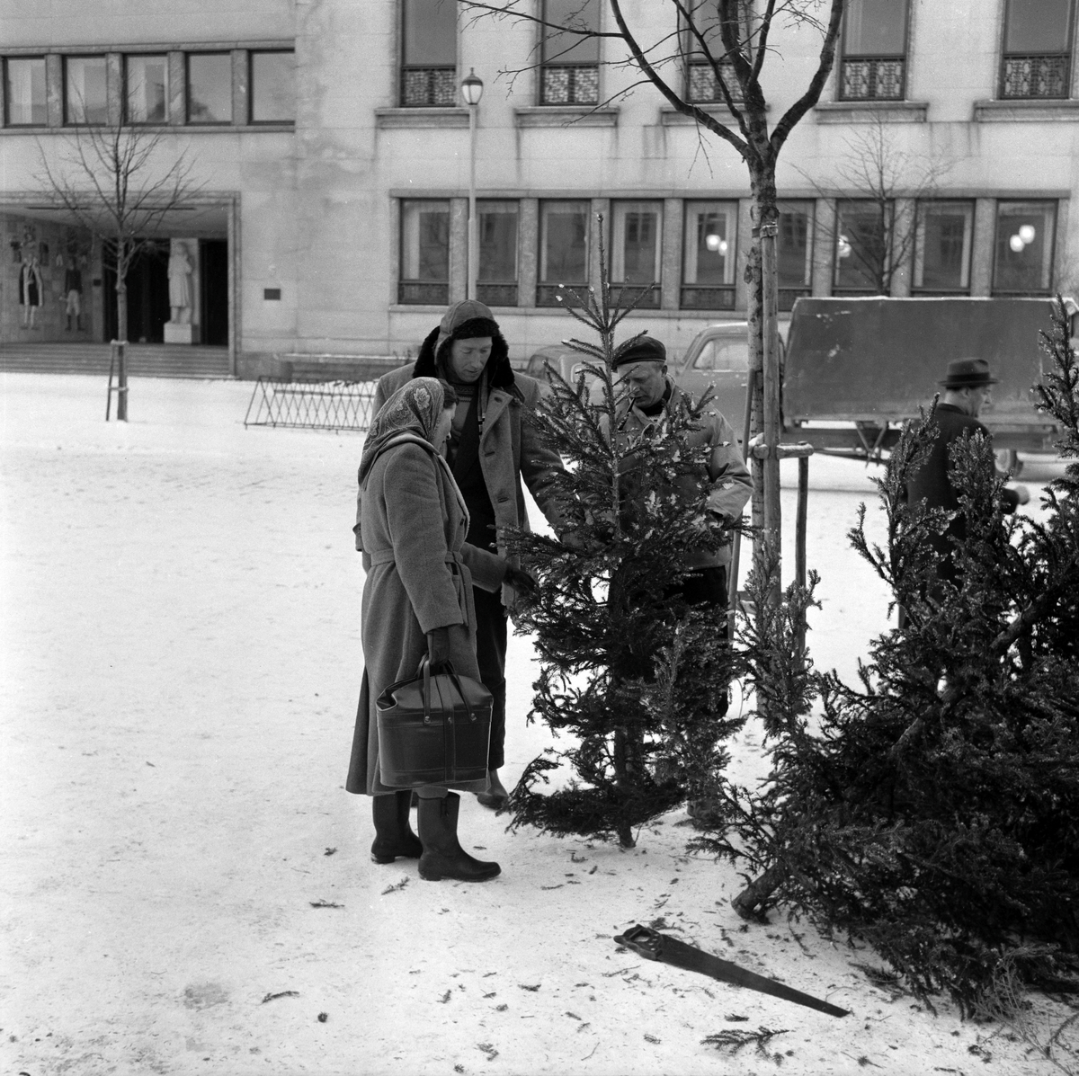 Juletresalg på Torget