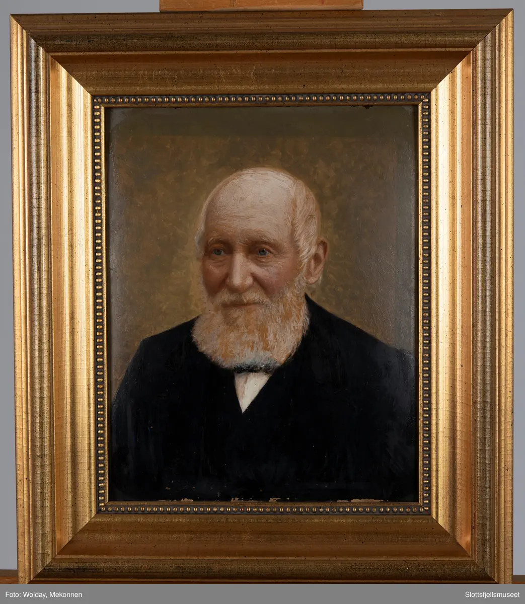 Portrett av Svend Foyn