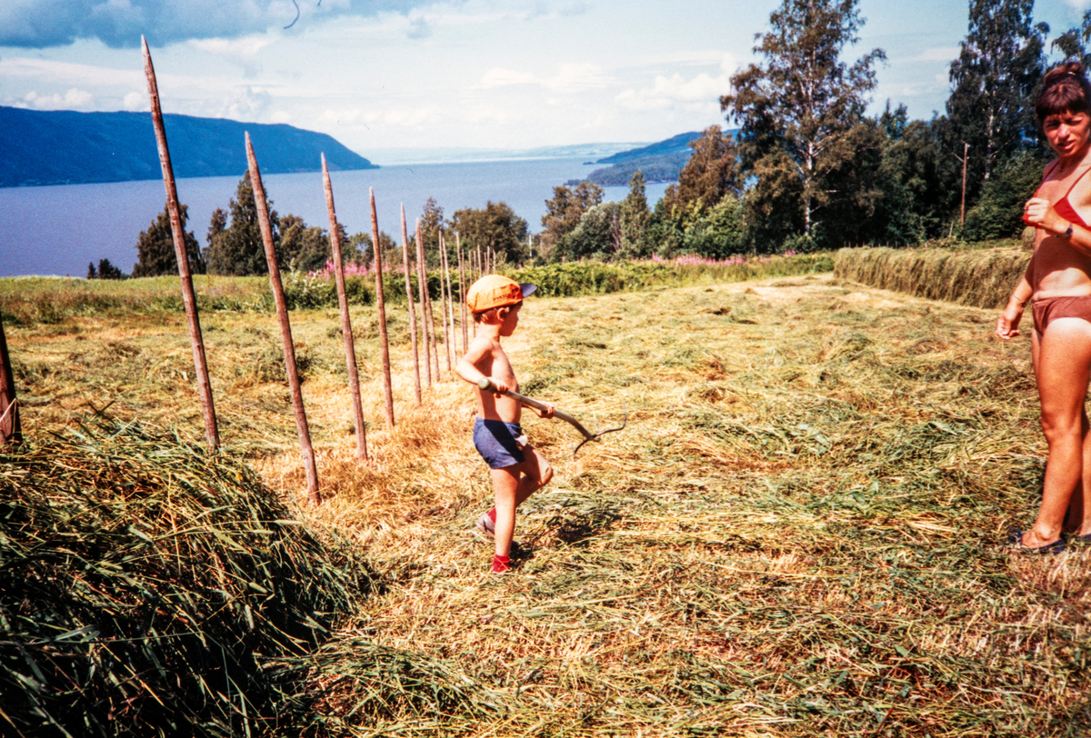 Stange, Espa, Kjeldsrud gård. Sommer 1985. Høy-hesjing på Kjeldsrudjordet, med utsikt mot Mjøsa. Edvard Romsaas Borgersen 5 år, med høygaffel, og caps på hodet. Mor Anne-Marie Romsaas Borgersen til høyre.
