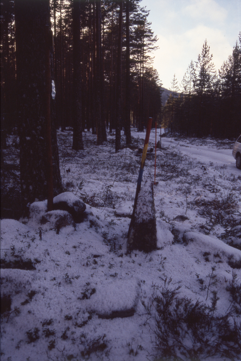 Gränsröse mellan Bollnäs och Arbrå vid väg 651.