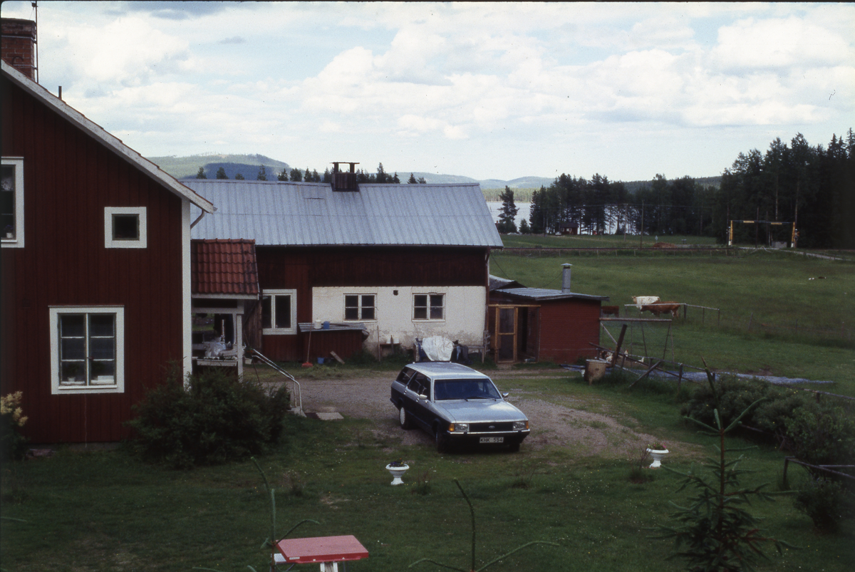 Gård.