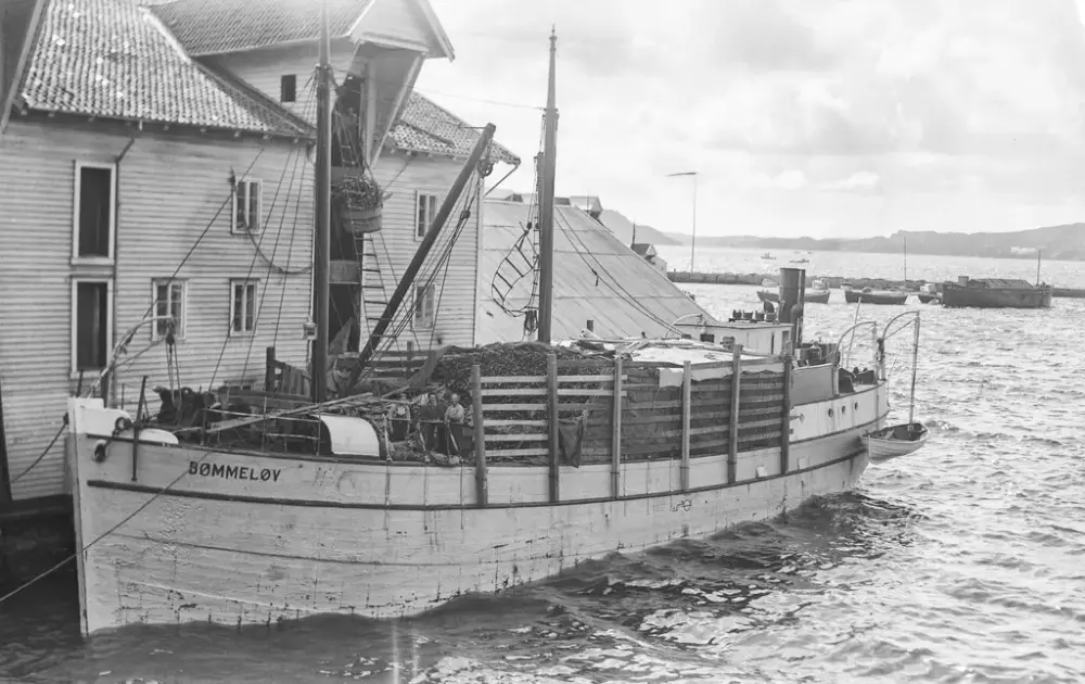 Sort hvitt bilde som viser en større fiskebåt med tørrfisk foran en sjøbod