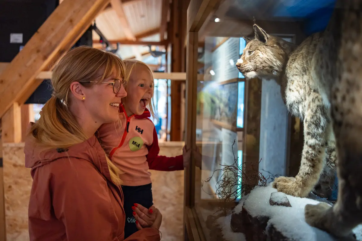 Foto av en mor som holder sin datter opp for å se på en utstoppet gaupe igjennom et glassmonter.