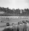 Gymnastiken 1944.
Gymnastikuppvisning (truppgymnastik) av yngre, manliga gymnaster. 
Fotot taget från publikläktaren.