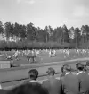 Gymnastiken 1944.
Gymnastikuppvisning (truppgymnastik) av yngre, manliga gymnaster. 
Fotot taget från publikläktaren.