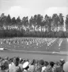 Gymnastiken 1944.
Gymnastikuppvisning (truppgymnastik) av kvinnliga gymnaster.
Fotot taget från publikläktaren.