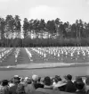 Gymnastiken 1944.
Gymnastikuppvisning (truppgymnastik) av kvinnliga gymnaster.
Fotot taget från publikläktaren.