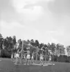 Gymnastiken 1944.
Gymnastikuppvisning på bommar av manliga gymnaster.