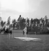 Gymnastiken 1944.
Gymnastikuppvisning på plint, av manliga gymnaster.