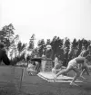 Gymnastiken 1944.
Gymnastikuppvisning på plint och häst, av manliga gymnaster.