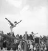 Gymnastiken 1944.
Gymnastikuppvisning på bommar av kvinnliga gymnaster, med
assistans av några manliga dito.