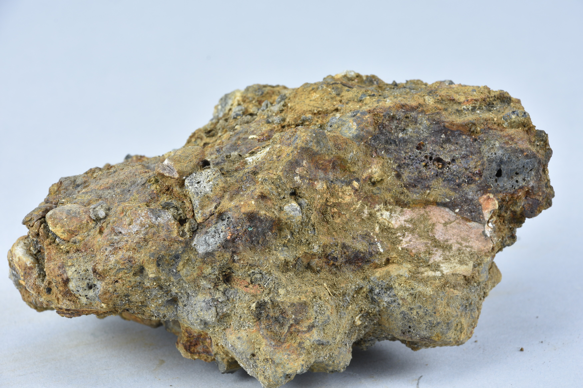 Stycke av osmundslagg. (Nihléns undersökningar Schakt XIII)