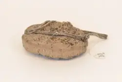 Flottør