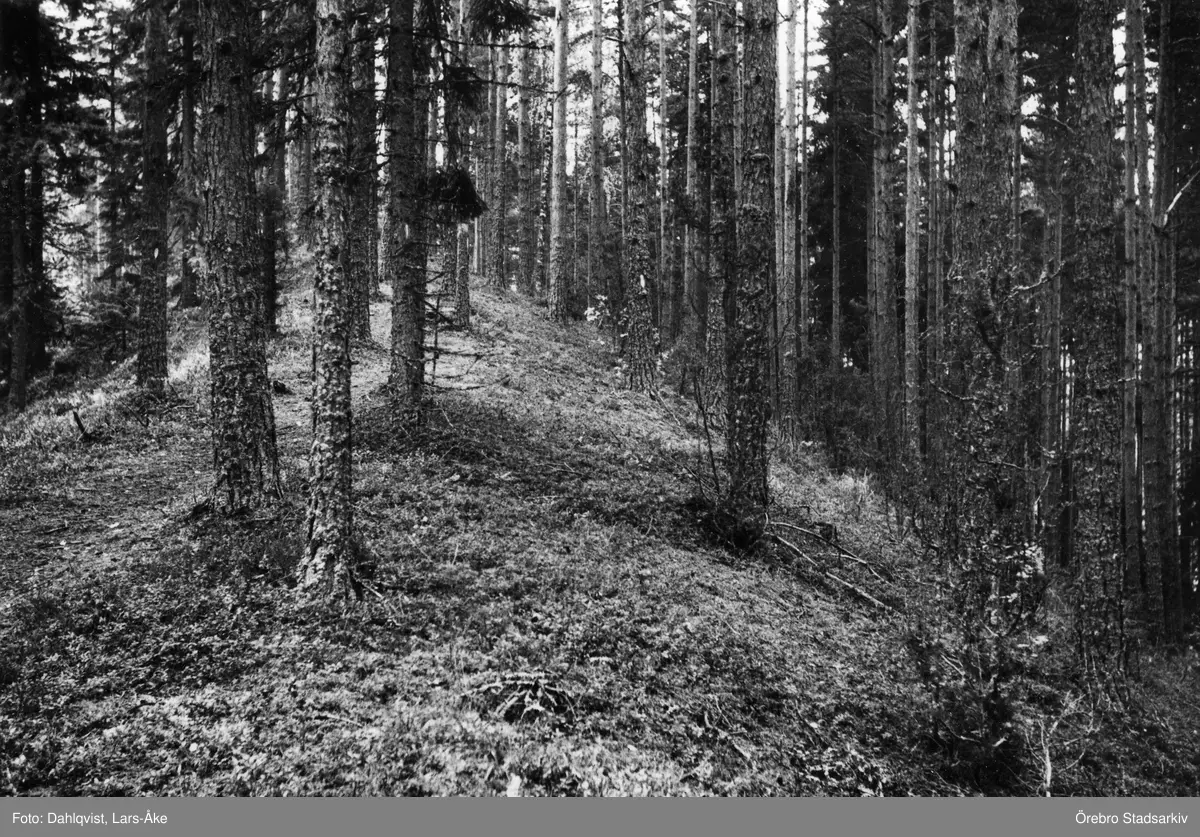 Rullstensås med getrygg