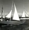Fotografi ur Detlow von Brauns album. Segelbåten DOTTE kappseglar.