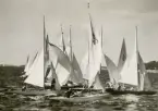 Fotografi ur Detlow von Brauns album. femmor kappsegar på Kanholmsfjärden i Stockholms skärgård.