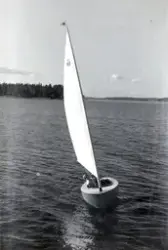 Fotografi ur Detlow von Brauns album. Segling vid mästerskap