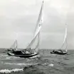 Fotografi ur Detlow von Brauns album. Kappsegling med en F-S363 Folkbåt.