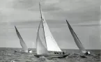 Fotografi ur Detlow von Brauns album. Segelbåten 8-S3 kappseglar med Tore Holm som rorsman.