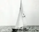 Fotografi ur Detlow von Brauns album. Segelbåten D-S192 HAVSÖRNEN.