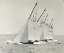 Fotografi ur Detlow von Brauns album. Segelbåtarna D-S200, D-S209, D-S201 och D-S193 i kappsegling.