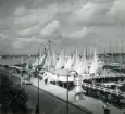 Fotografi ur Detlow von Brauns album. Hamnen vid olympiadseglingarna i Tyskland 1936.