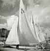 Fotografi ur Detlow von Brauns album. Segelbåten 6-S2 MAY BE vid OS-seglingarna.