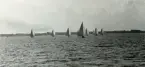 Fotografi ur Detlow von Brauns album. Kappsegling vid OS-seglingarna..