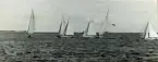 Fotografi ur Detlow von Brauns album. Kappsegling vid OS-seglingarna.
