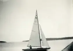 Fotografi ur Detlow von Brauns album. Segling med Stjärnbåte