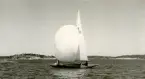 Fotografi ur Detlow von Brauns album. Segling med 5-S10 på Kanholmsfjärden under Sandhamnsregattan.