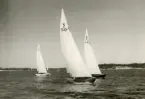Fotografi ur Detlow von Brauns album. Segling med 5-S10, 5-L2 och 5-S3 på Kanholmsfjärden under Sandhamnsregattan.