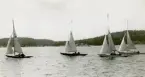 Fotografi ur Detlow von Brauns album. Kappsegling på Ingaröfjärden. Segelbåtarna 5-S20, 5-S11, 5-S16 och en till kappseglar.