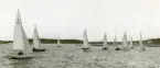 Fotografi ur Detlow von Brauns album. Kappsegling på Kanholmsfjärden. Segelbåtarna 5-S10, 5-S11, 5-S1, 5-S20, 5-S16, 5-S14, 5-S12 och flera kapplseglar.
