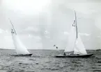 Fotografi ur Detlow von Brauns album. Segelbåtarna 5-S26 GOING III och 5-L5 GHITA kappseglar.