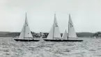 Fotografi ur Detlow von Brauns album. Segelbåtarna 5-L5, 5-S26 och 5-L4 kappseglar.