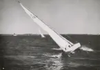 Fotografi ur Detlow von Brauns album. Segelbåten S2-S212 JASSÅ kappseglar Skärgårdskryssarpokalen.