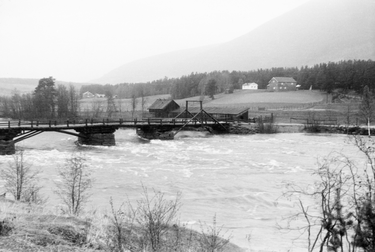 Skogabrua over Gudbrandsdalslågen i Dovre kommune i Oppland, fotografert under flom i slutten av mai 1963. Fotografiet er tatt fra vestre elvebredd, skrått i motstrøms retning. Dette var ei bjelkebru av tre. Den kvilte på tørrmurte gråsteinsfundamenter. Det forholdsvis lange bruspennet til venstre i bildet var forsøkt avstivet ved hjelp av skråstilte tømmerstokker fra de murte pilarene mot undersida av brubanen. Den enda lengre bruspennet mot østre elvebredd var også forsterket med skråstivere, reist mot en portal på oversida av brua. På østre elvebredd ser vi et par gardsbruk, med dyrket mark mot vassdraget og med skog i bakgrunnen.