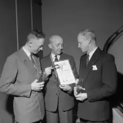 Tingmøte i Trondheim og Omegn Idrettskrets