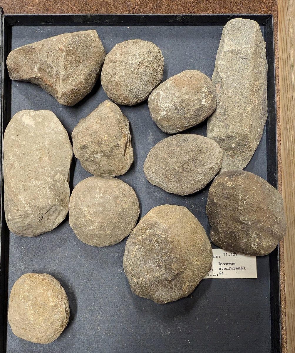 11 407: Okänd fyndort.

8. Diverse stenföremål, 64 st, eventuellt kan några vara knackstenar.

Ingår i en samling boplatsfynd VM11407 tillsammans med: 
1. Flintspån, obearb. 3 st.
2. Flintavslag med retusch. 2 st.
3. Flintavslag med bearb. 1 st.
4. Kärna flinta, 1 st.
5. Flinta övrig, 16 ts.
6. Flintavslag, obearb. 290 st.
7. Bergartsavslag, 5 str.

9. Skafthålsyxa, förarbete och fragment, 1 st.
10. Yxa bergart, Vänertyp, fragment, 1 st. Endast eggdelen bevarad.